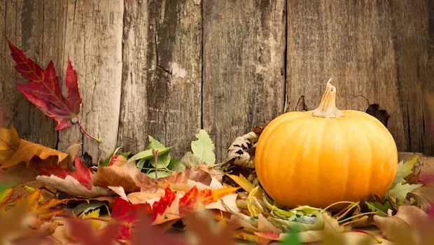 Diet Detective Healthy Eating Tips For The Fall Active