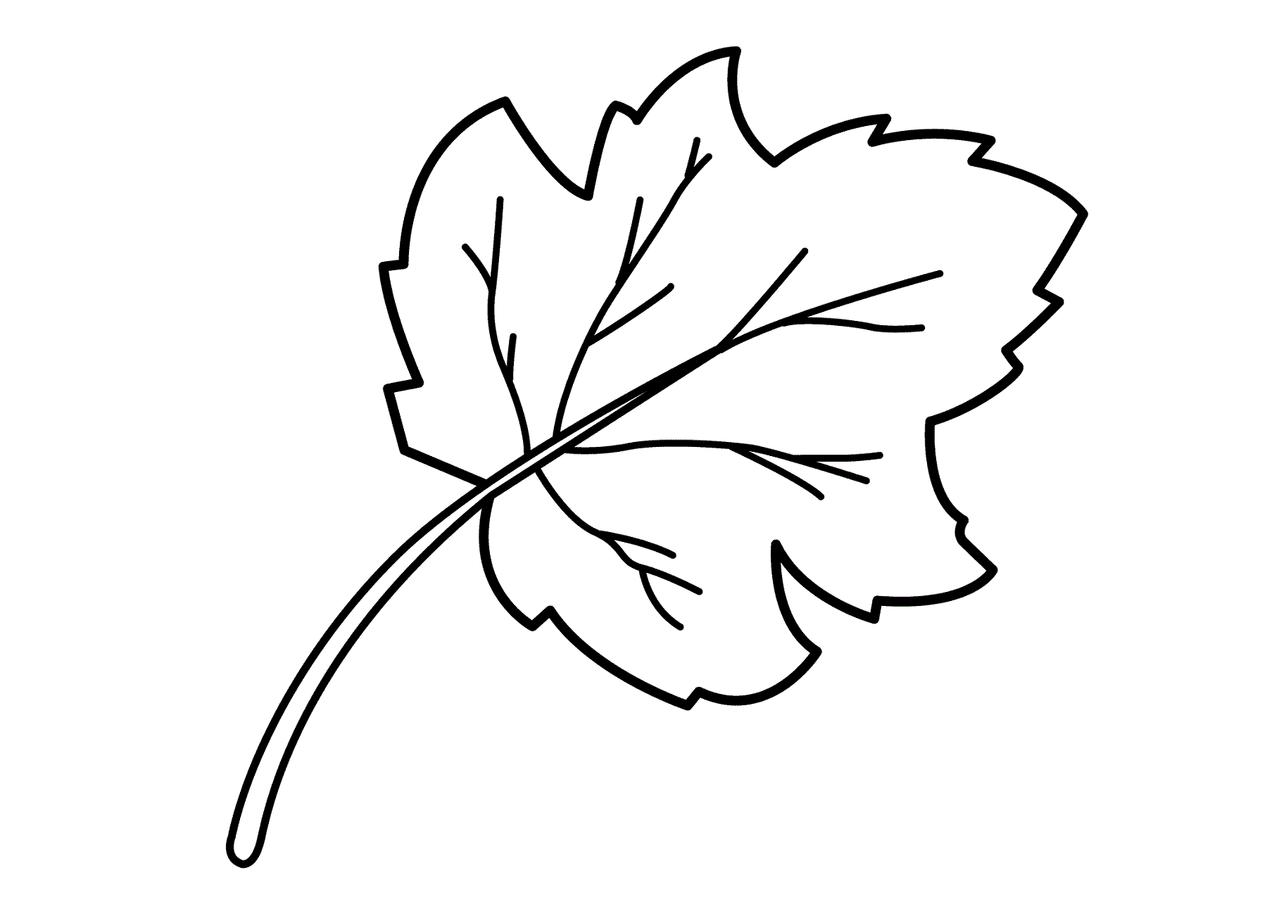 Leaf coloring pages for preschool