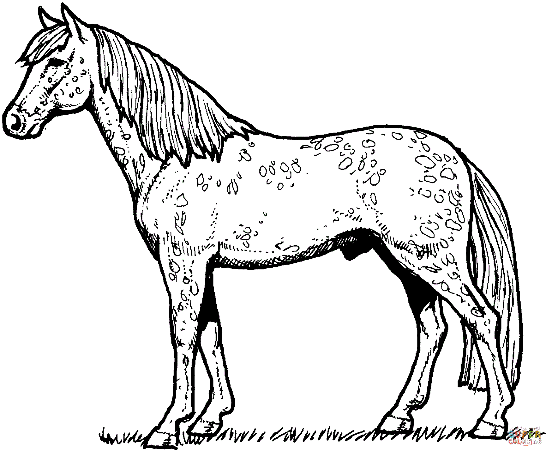 printable color pages of horses activity shelter