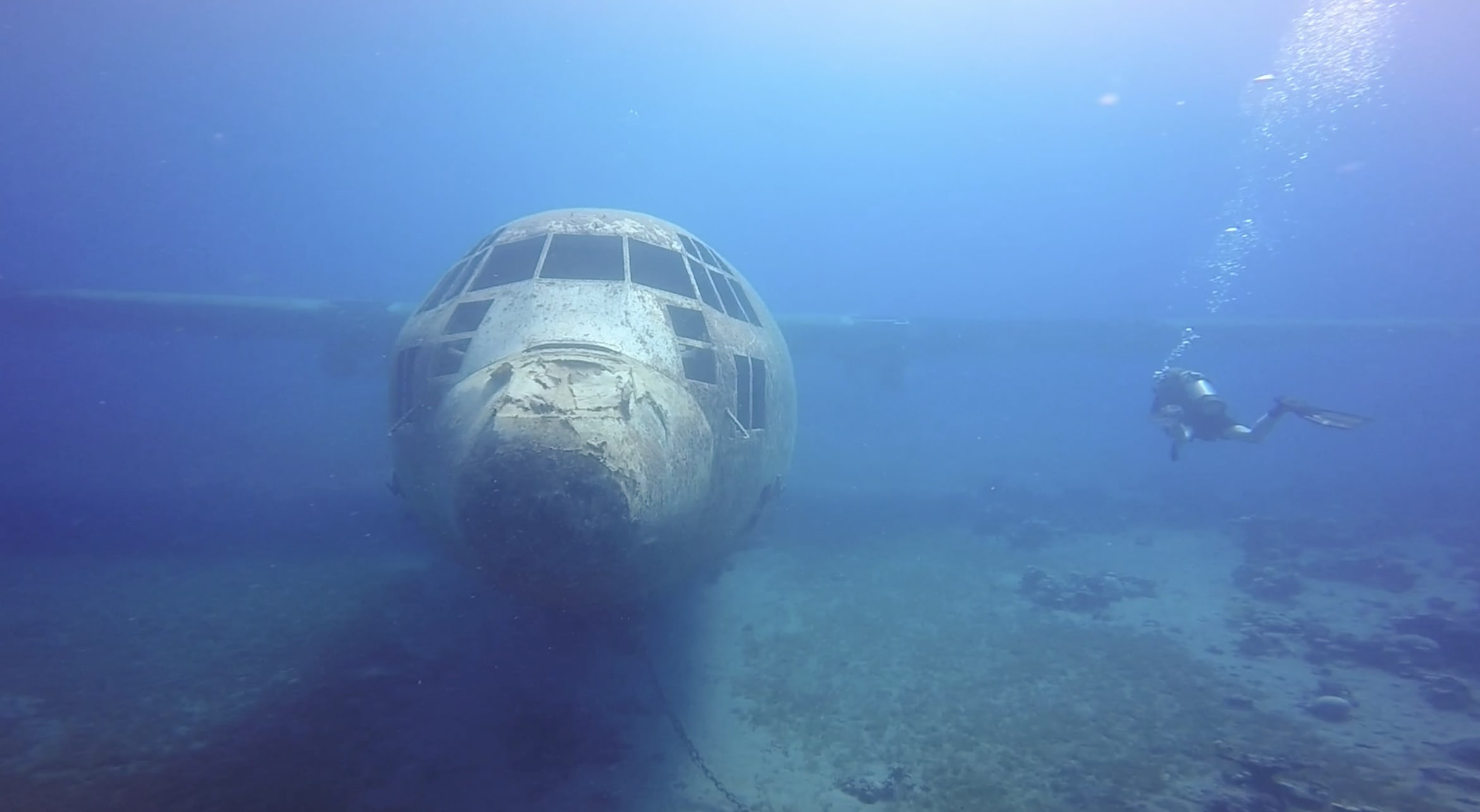 Hercules plane Aqaba