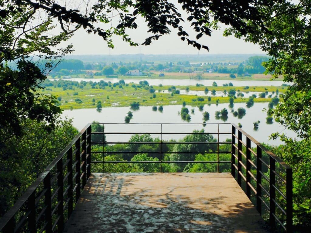 Grebbeberg view point