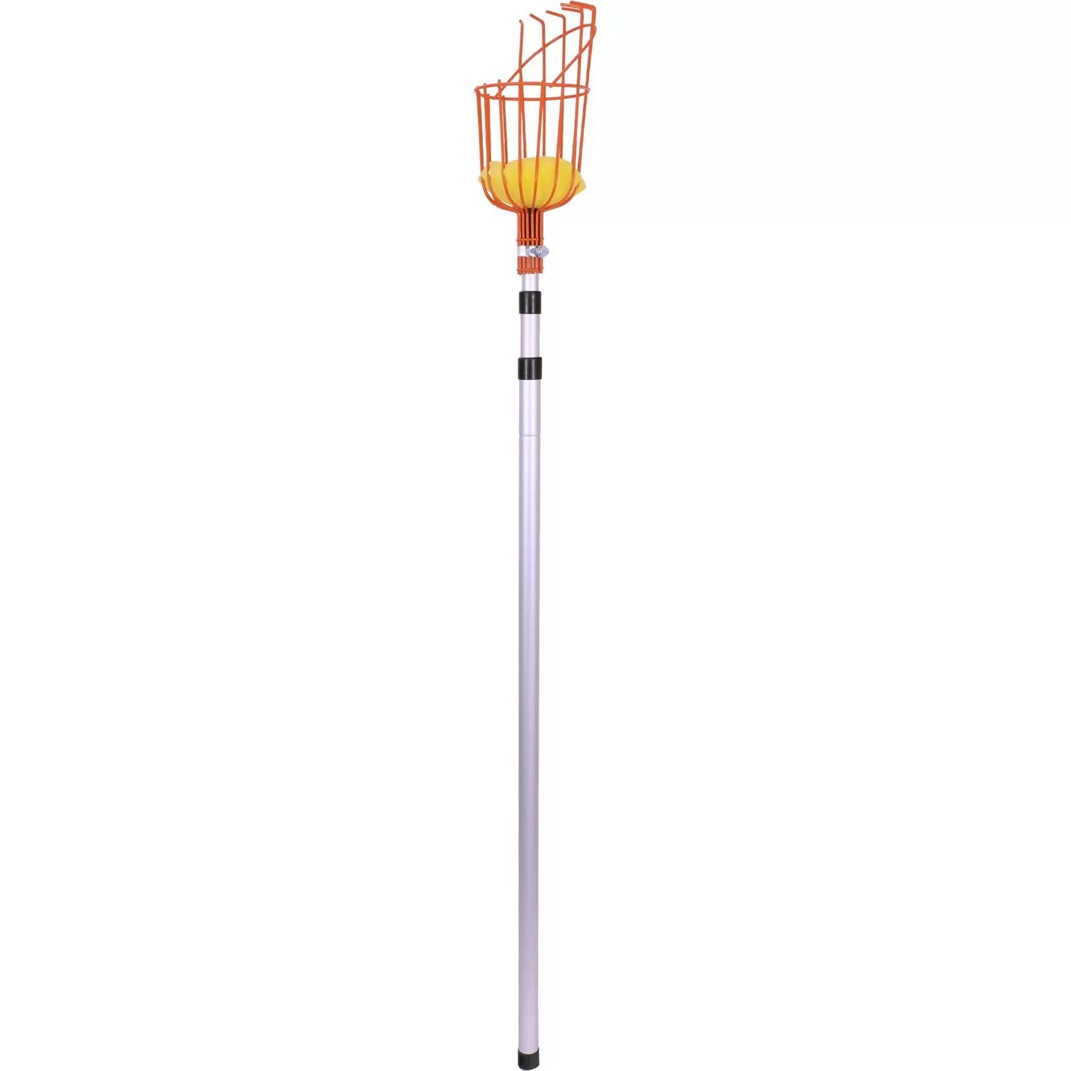 GREENHOUSE G000046 57" - 92" Telescoping Fruit Picker