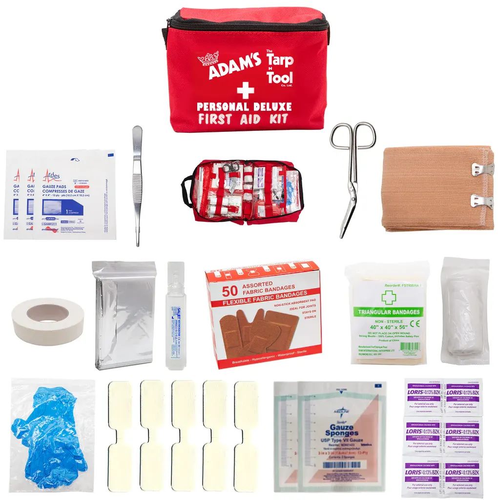 Ram International FSPERSONALD Personal Deluxe First Aid Kit, Soft Bag
