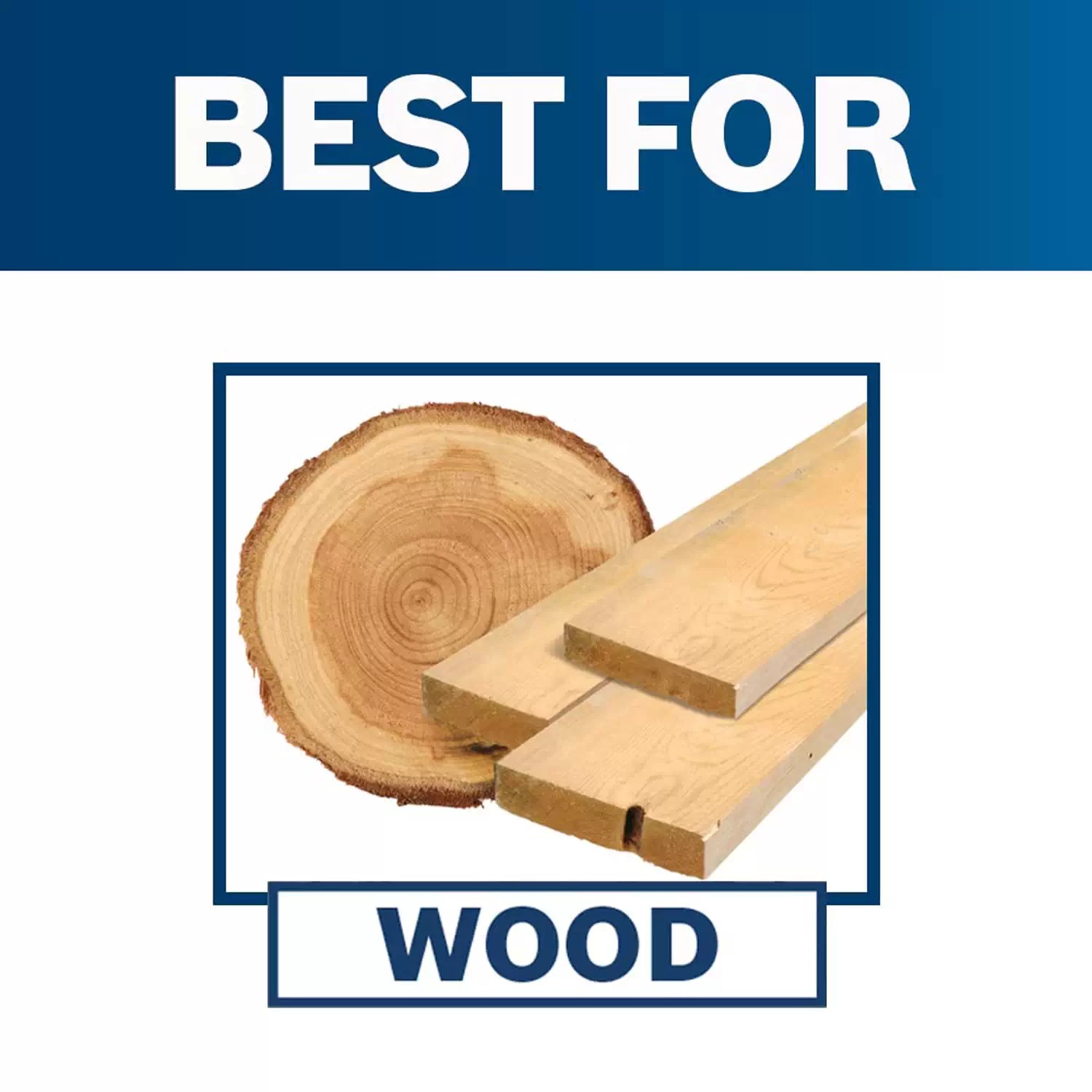 Bosch RS030 Replacement 5" Extra Soft Random Orbit Sander Backing Pad