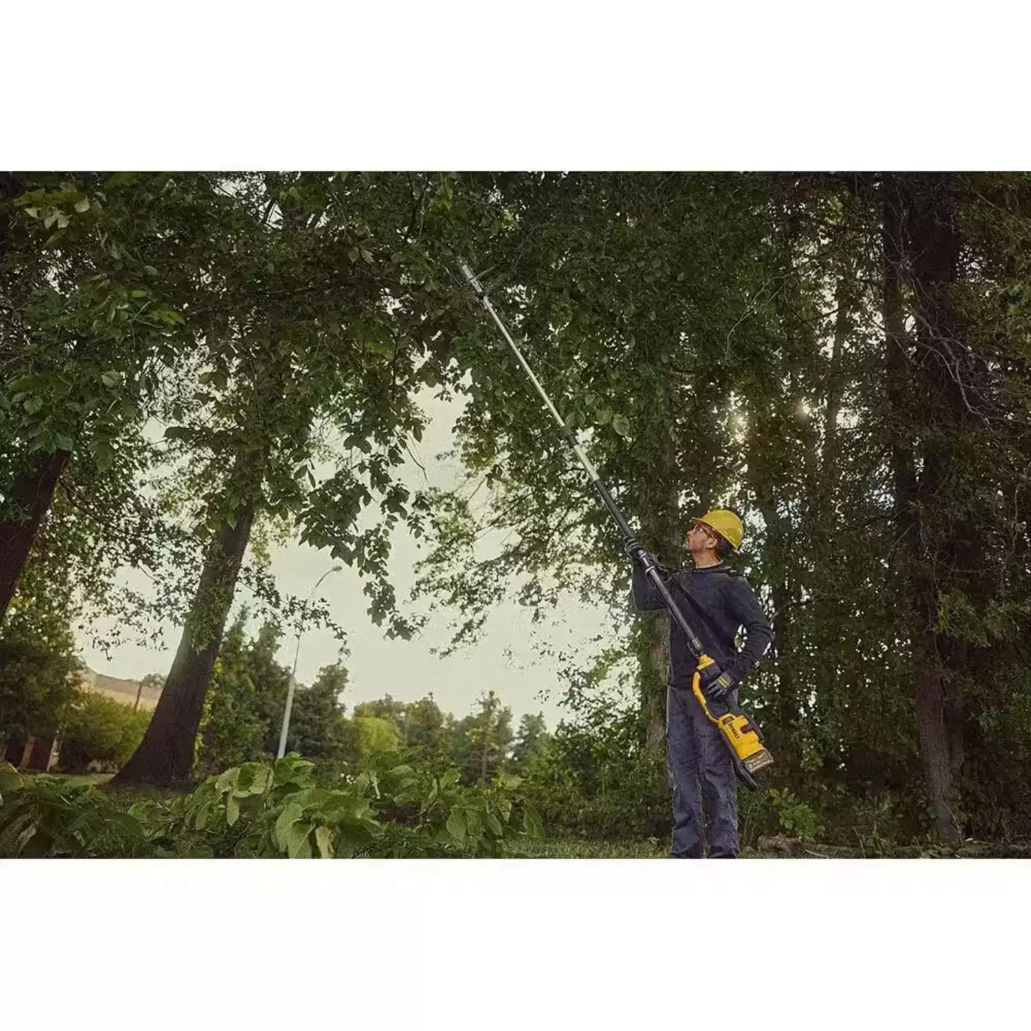 DEWALT DCPS671B 60V MAX 8" Cordless Telescoping Pole Saw - Tool Only