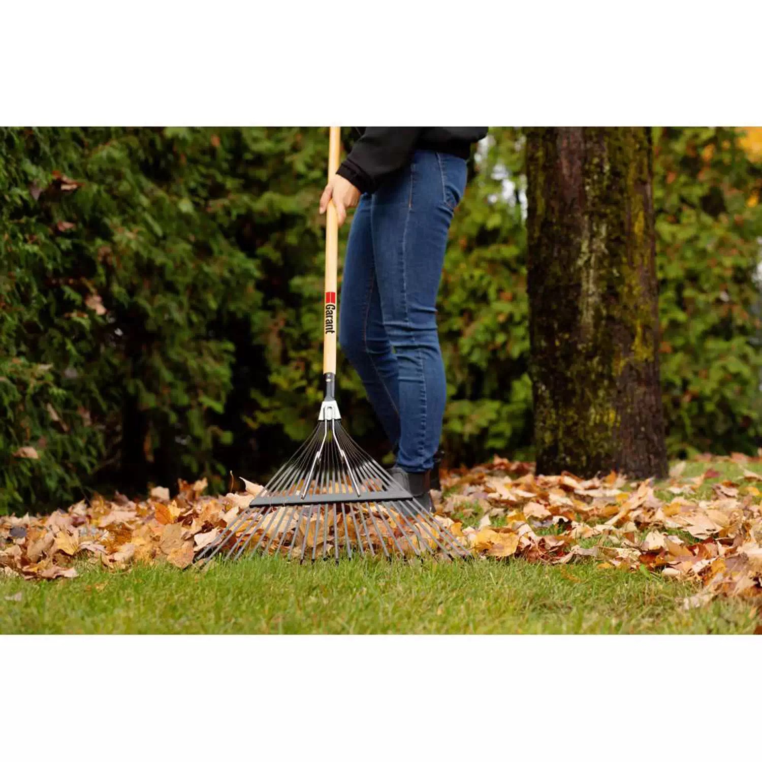 Garant TSL22 | 00192 22 Tine Springback Lawn Rake