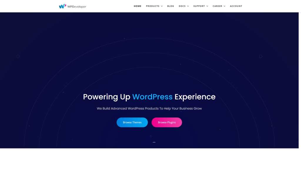 WP Developer