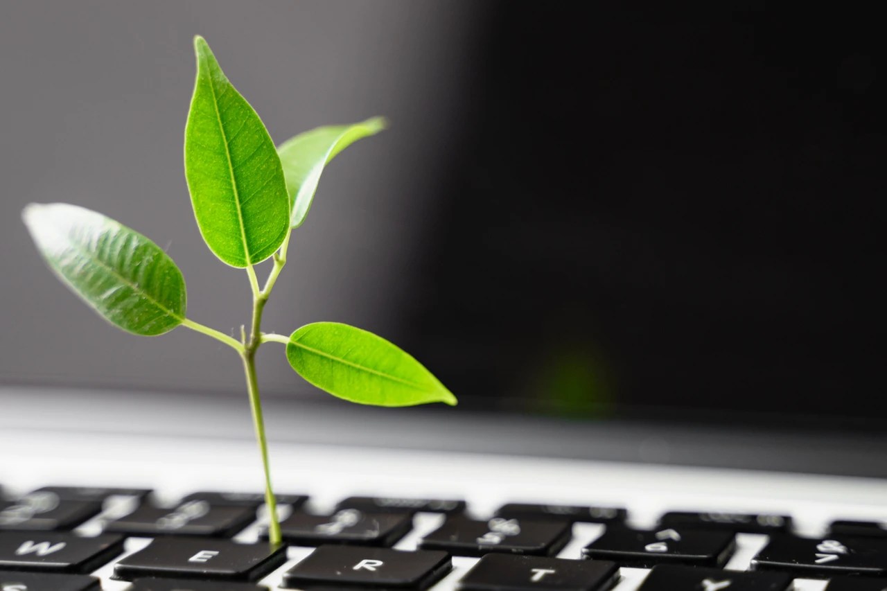 Greennet Drupal Org - Premium Ocean Illustration Gallery - HD