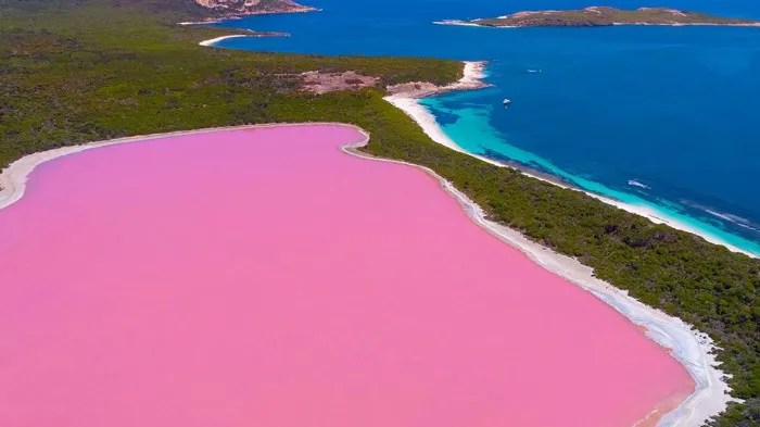 In Australia esiste un lago rosa