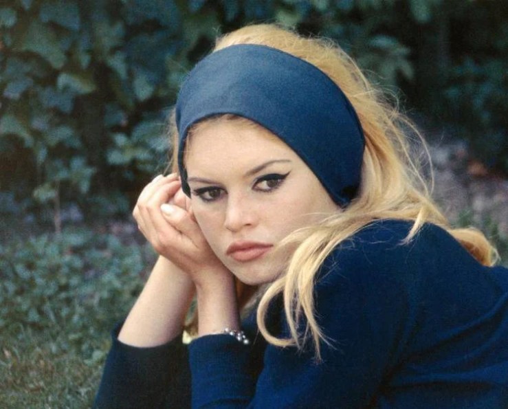 Brigitte Bardot torna a casa dopo l’intervento: “Sto bene”