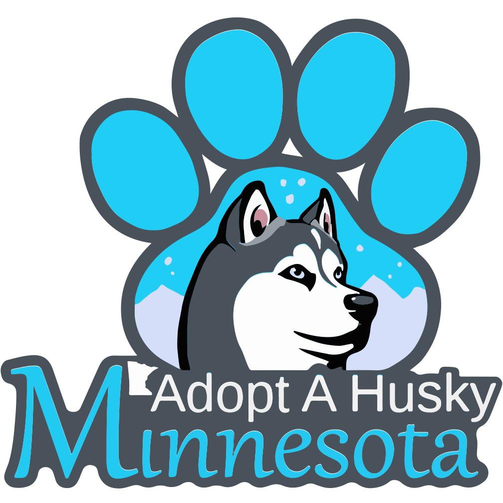 husky puppies rescue near me