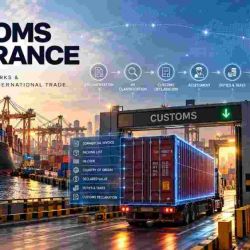 Customs clearance-50kb