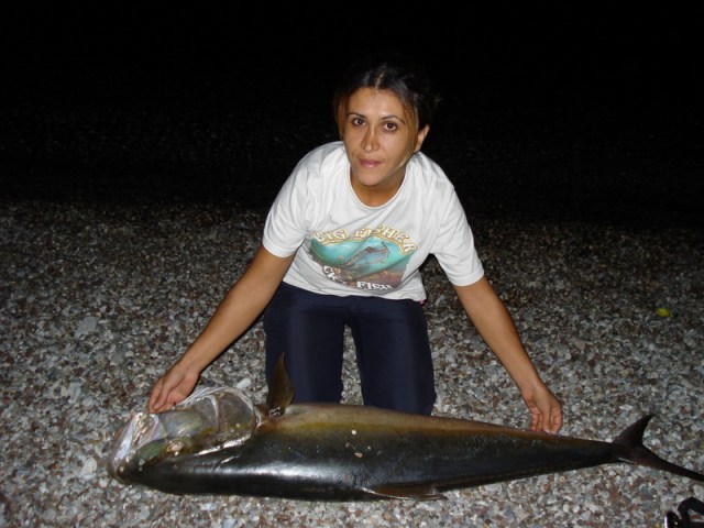 AKYA AVI NASIL YAPILIR