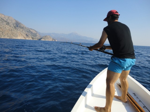 BALIK AVINDA ENTERESAN BIR GUN