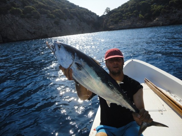 MAVI ORKINOS AVI