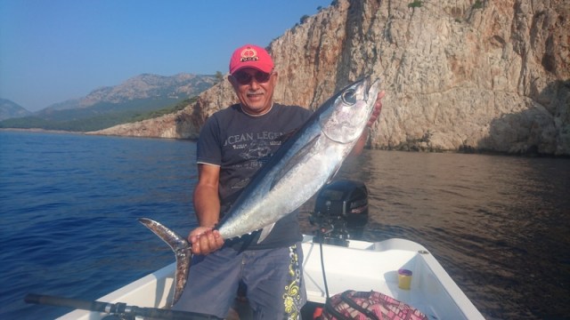 ANTALYA ADRASANDA KOCAMAN GOZLU ALBAKOR AVLADIK
