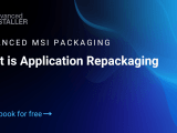 Repackaging Role In Organizations Software Lifecycle Management