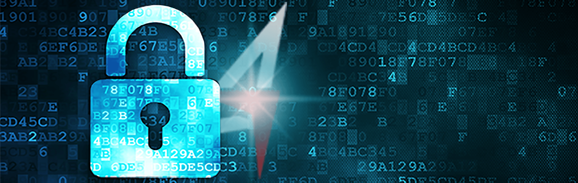 Data Security & Privacy - Advantage GPS