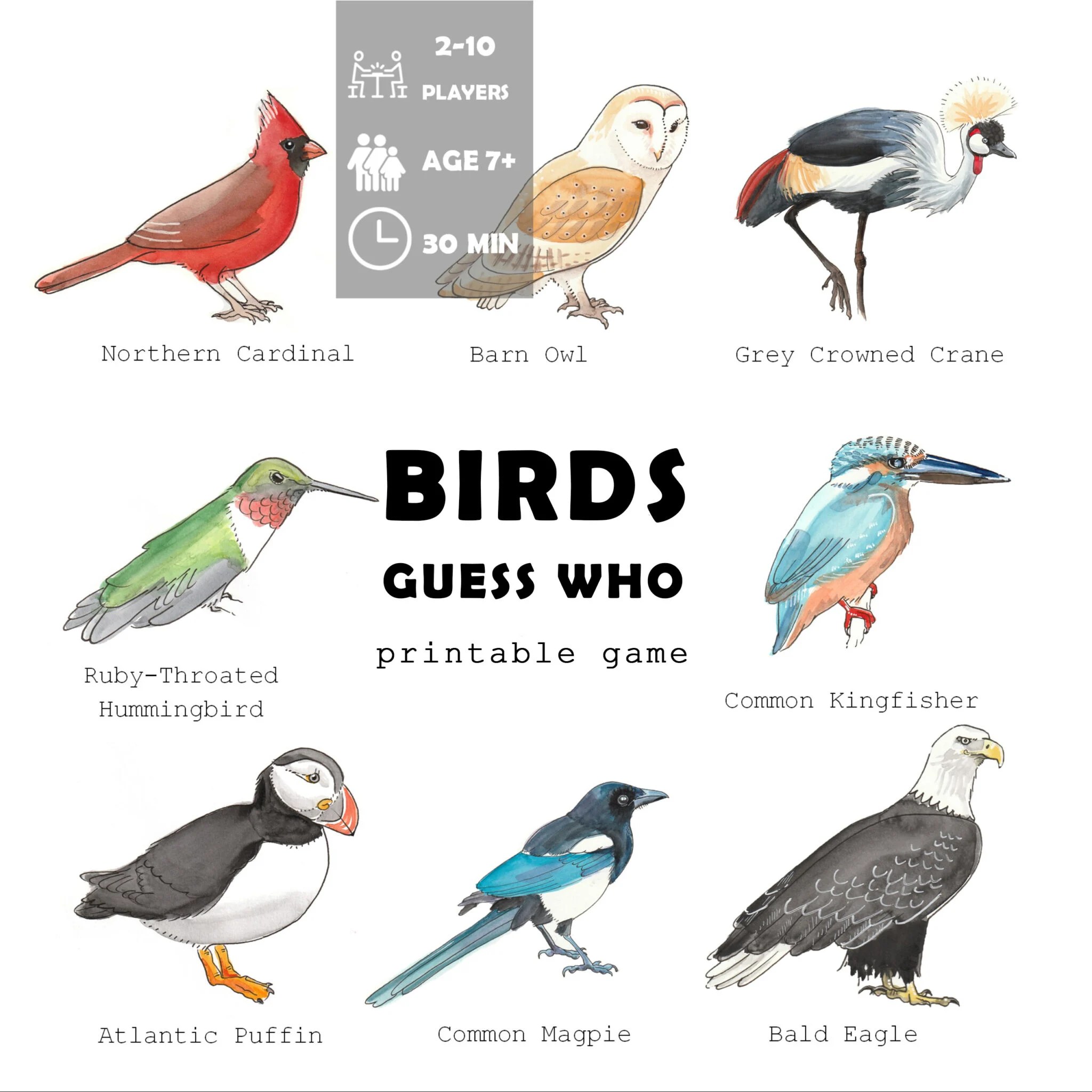 Bird guess who game: basic version