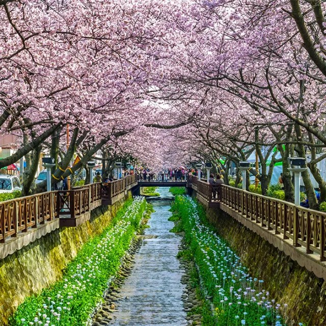 Yeojwacheon River