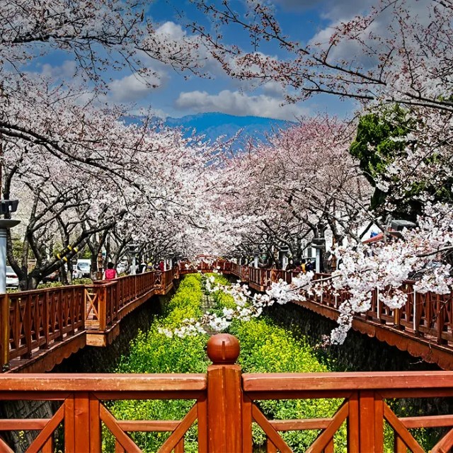 Yeojwacheon River