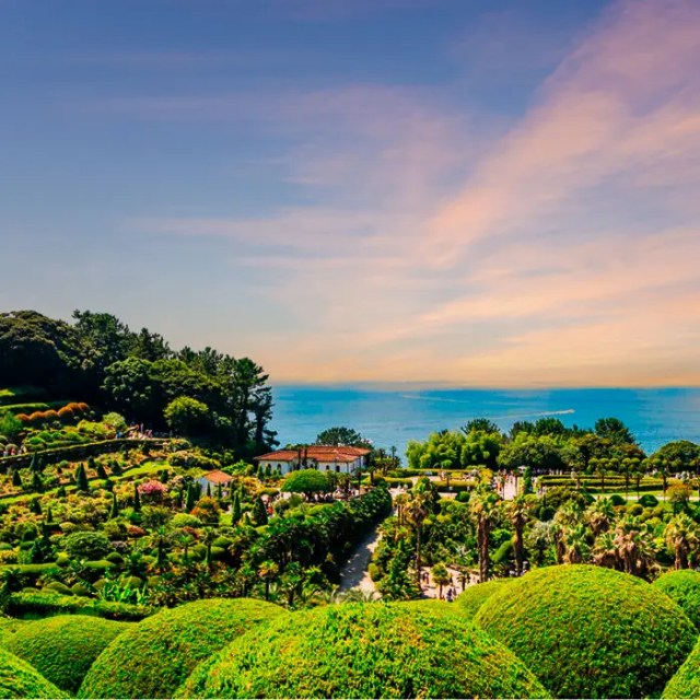 Oedo Botania