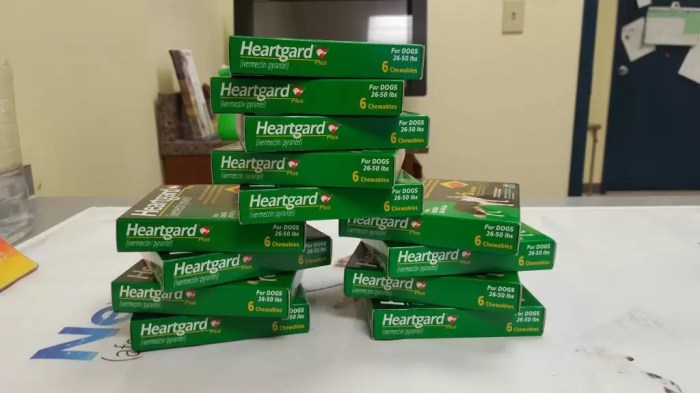 How Can I Tell If My Dog (or Cat) Needs Heartworm Medication? - GoodRx