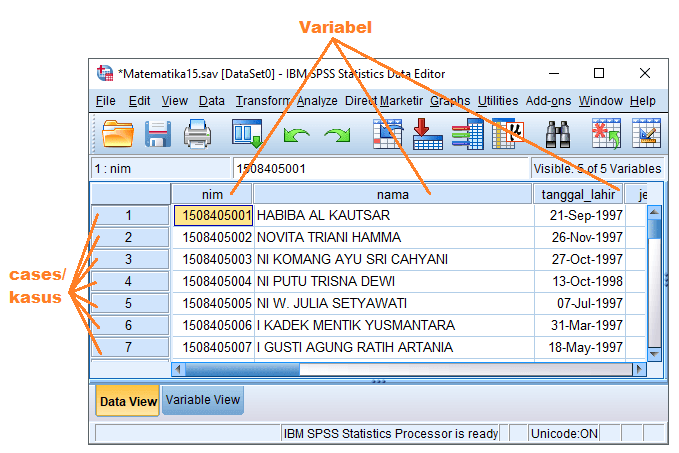 Variabel juga bisa disebut item data. Pengertian Data View Pada Spss Dan Penggunaanya Advernesia