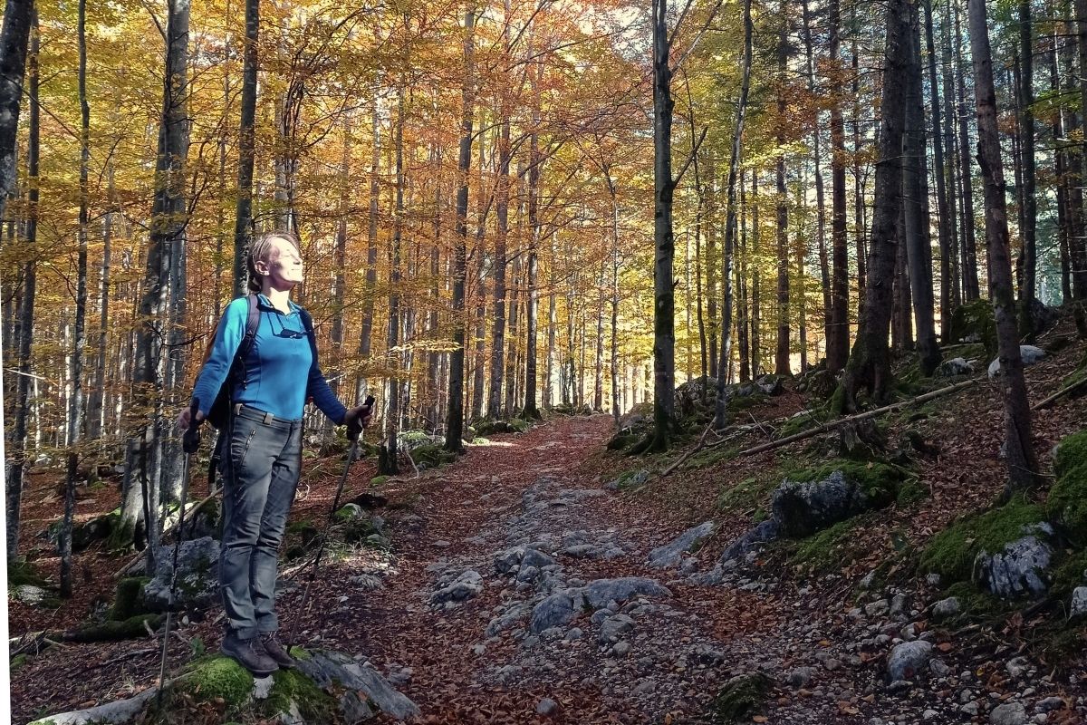 Girl hiking in a dense forest but standing in the glowing light coming through the trees. Highlighting the differnce between loneliness vs. solitude