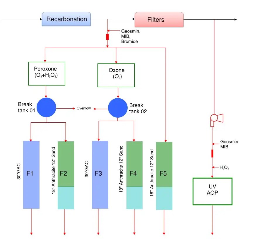 The Biological Mechanism of Pathogen Disruption