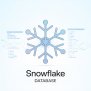 What Is Snowflake Database? Process, Features & Use Cases