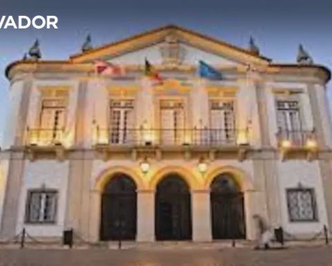Autárquicas. Independente Pedro Oliveira é o candidato do Volt à Câmara de Faro
