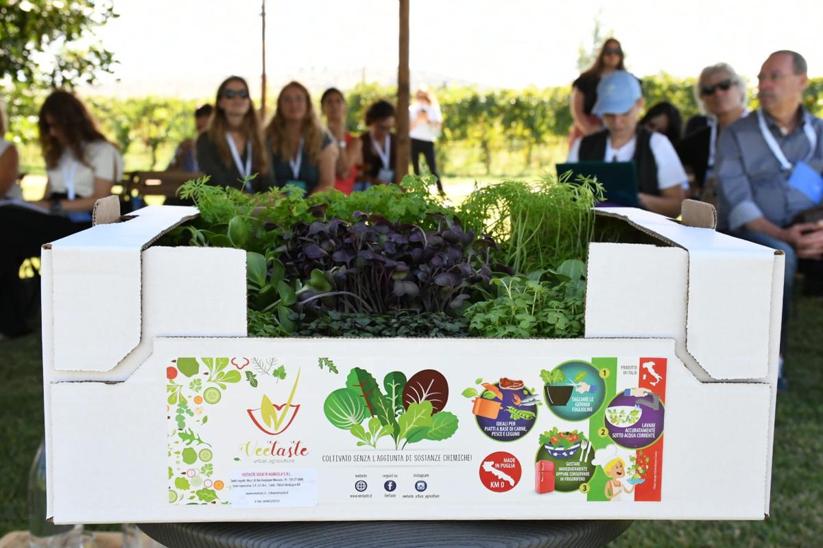 L’impegno di EIT Food in Italia: l’approccio rigenerativo di Morasinsi in Puglia