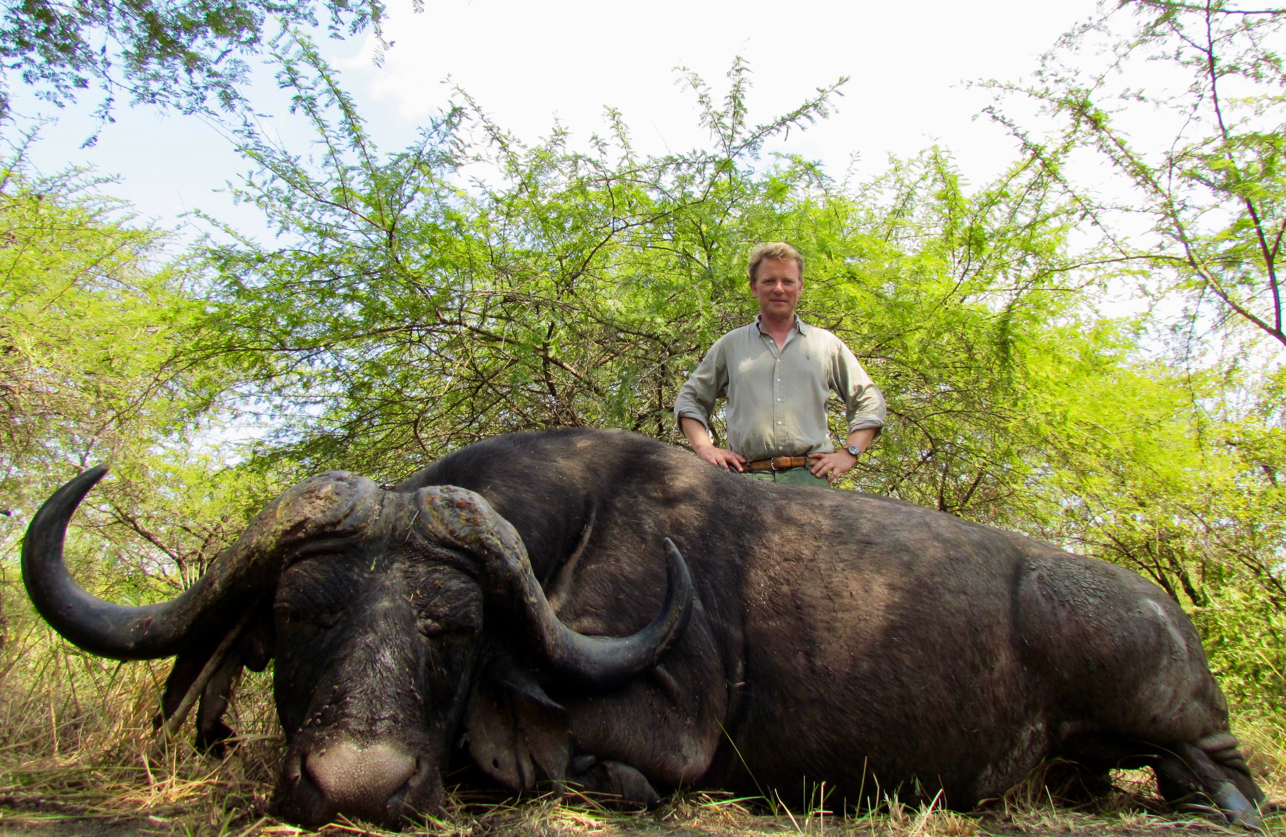 Tanzania Cape Buffalo Hunting Safari In Selous Game Reserve