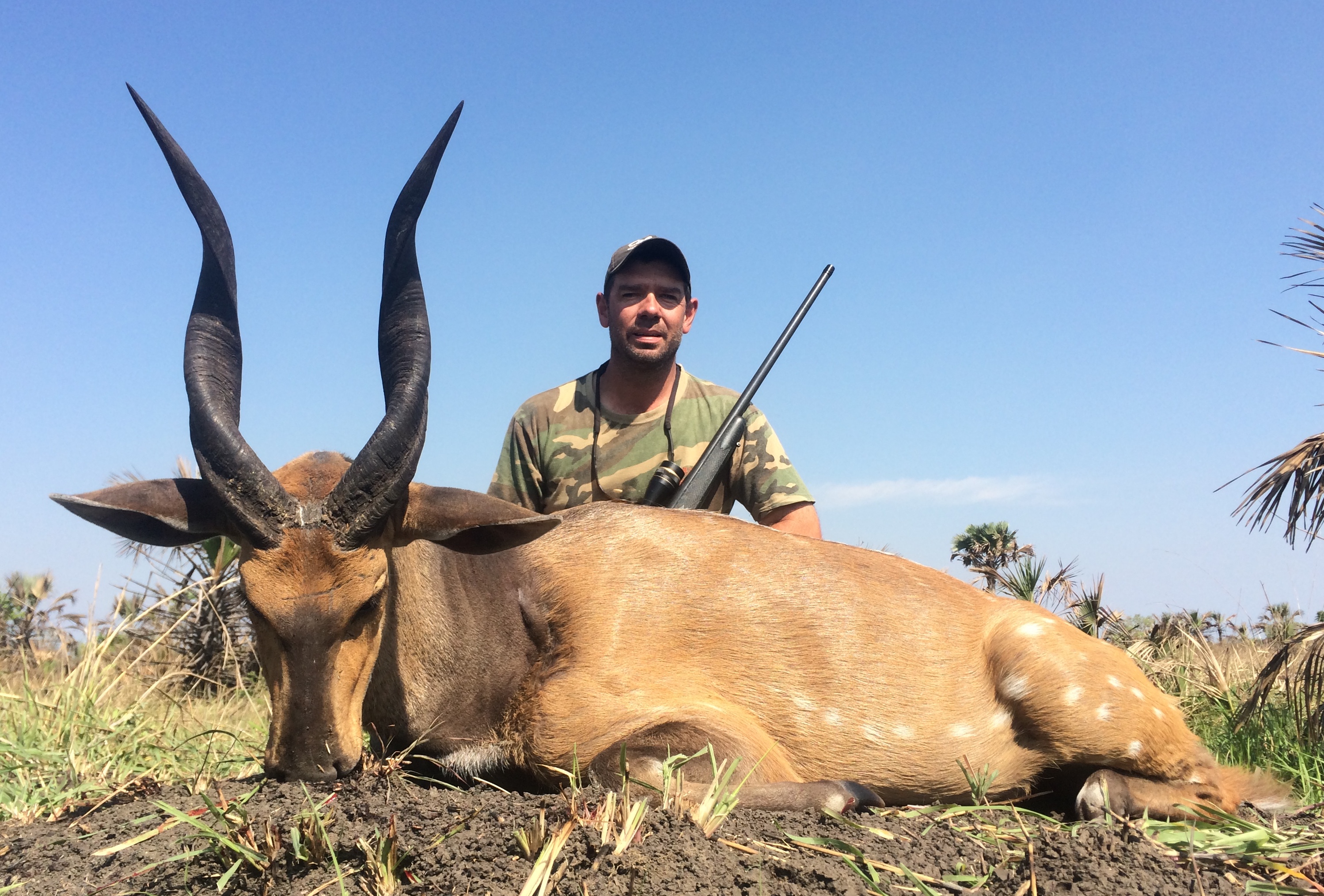 Buffalo Hunt In Mozambique Hunting