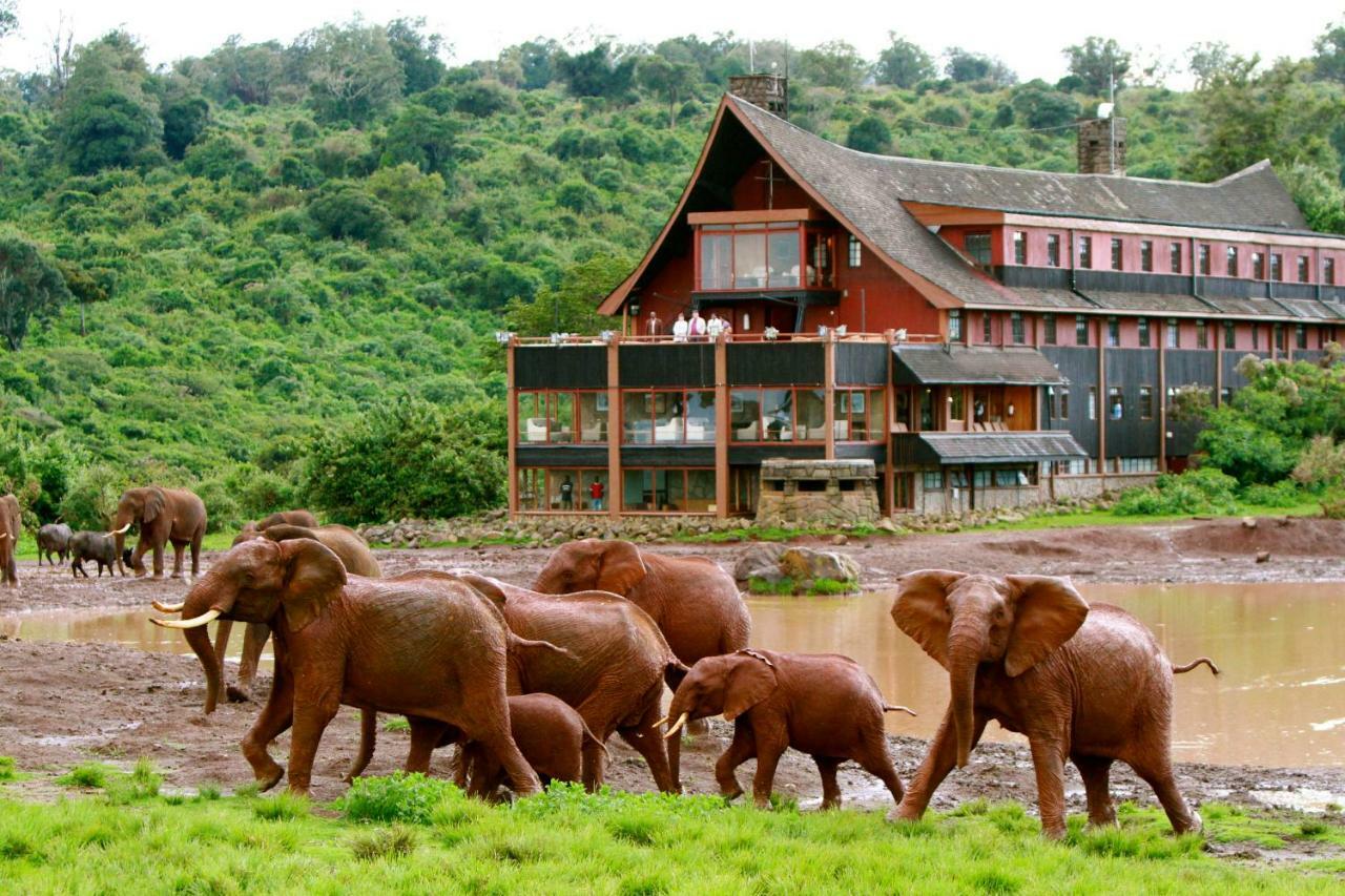 Aberdare Ranges to Savannah Safari