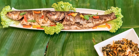 Grilled fish