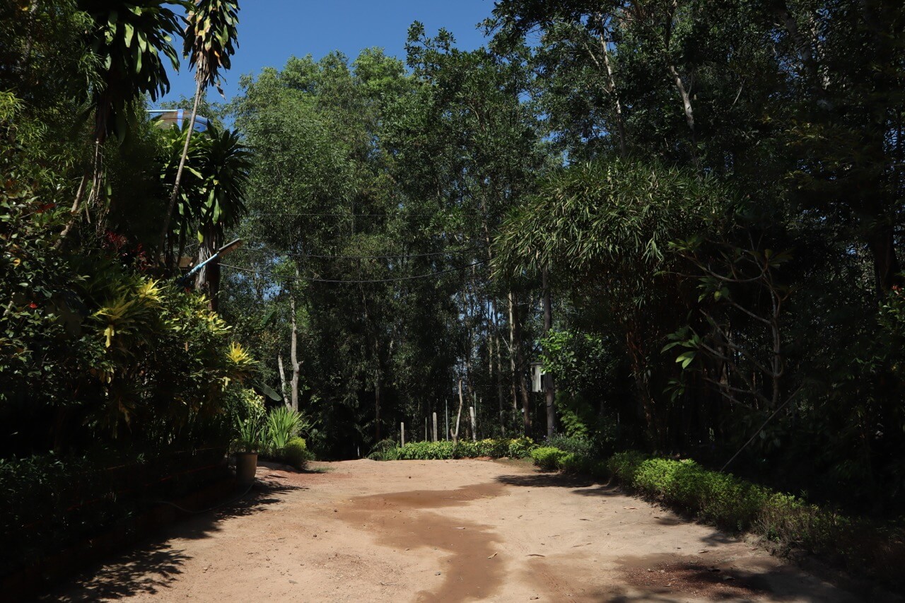 Behind the Scenes: A Day on an Agarwood Plantation