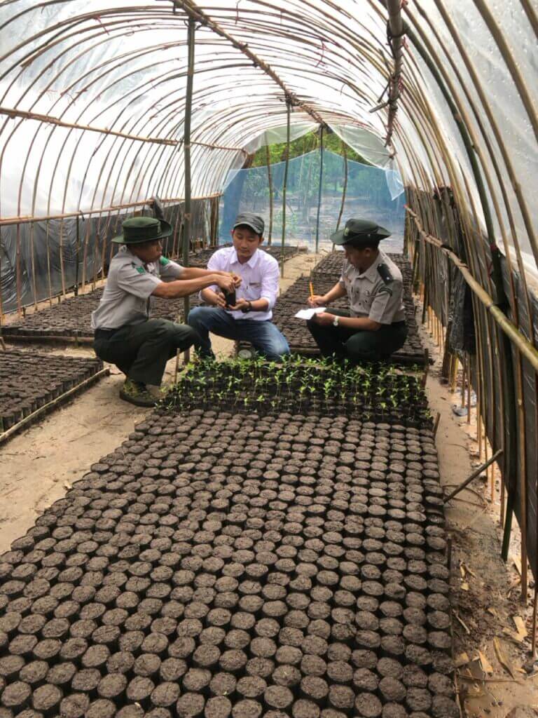 Agarwin-Keystone Agarwood Nursery