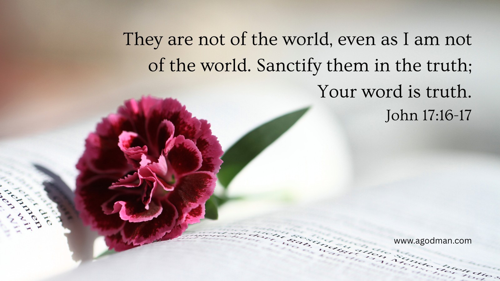 They are not of the world, even as I am not of the world. Sanctify them in the truth; Your word is truth. John 17:16-17