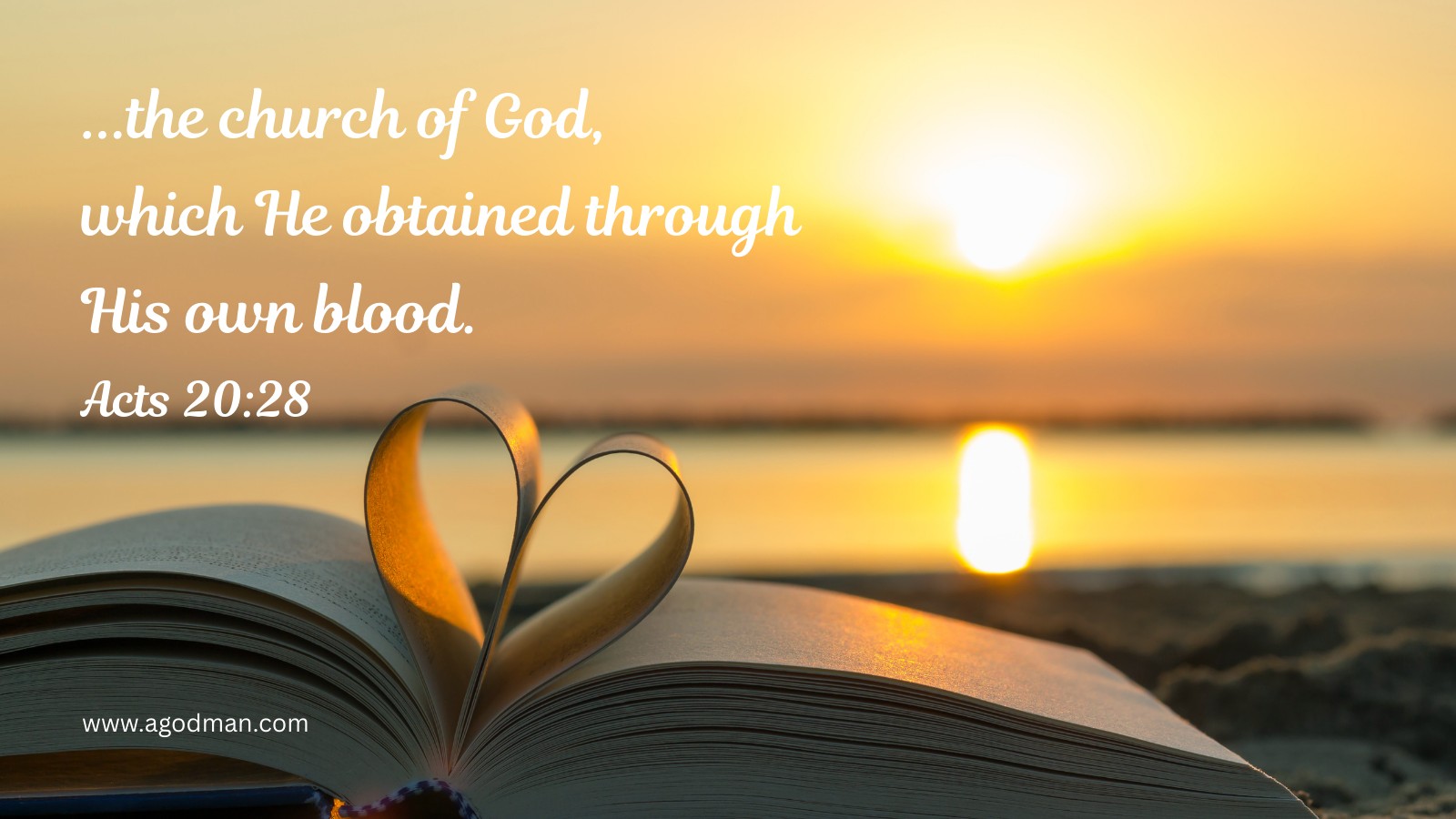 ...the church of God, which He obtained through His own blood. Acts 20:28
