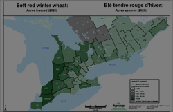 2026 Winter Wheat Insured Acres County Maps And Historical Data PI Map Winterwheat 2026 Enfr.