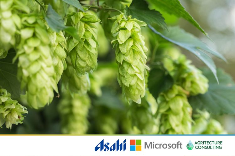 Agriculture Consulting Agritecture - Minimal Arts - Elegant 4K Collection