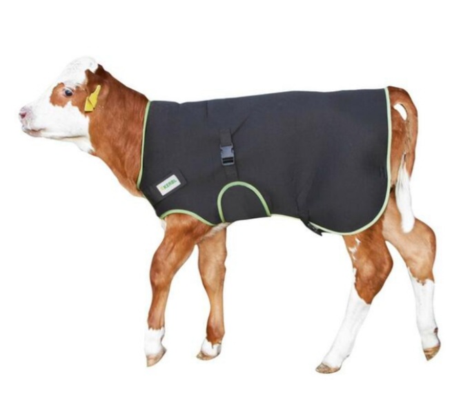 Coperta In Pile Per Coniglietti E Animali Domestici - Motivo Elefante, 72x51 Cm, Lavabile A 30°C