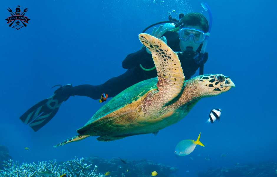 cheapest dive destinations