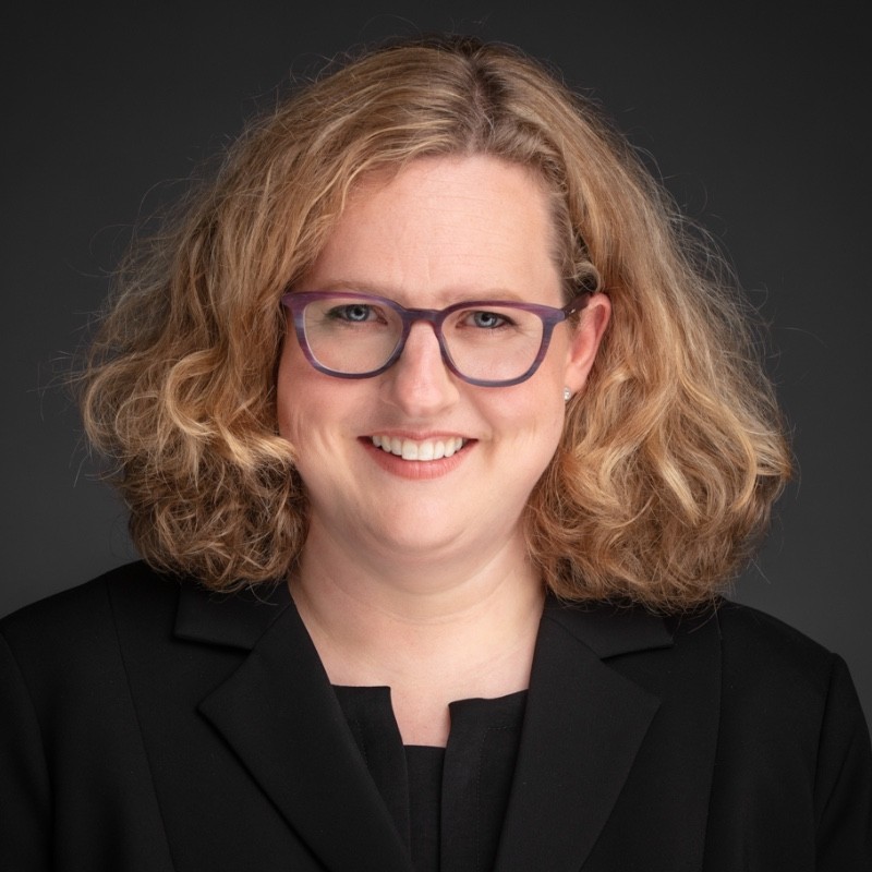 Prof. Dr Annemiek Snoeckx