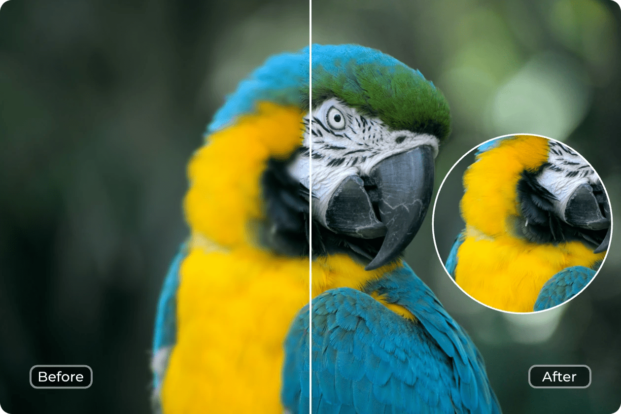 Free ai photo enhancer: improve image quality and clarity