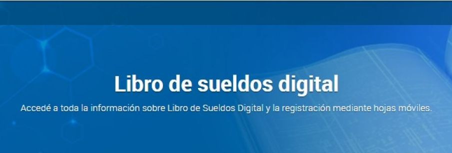 Libro sueldos afip