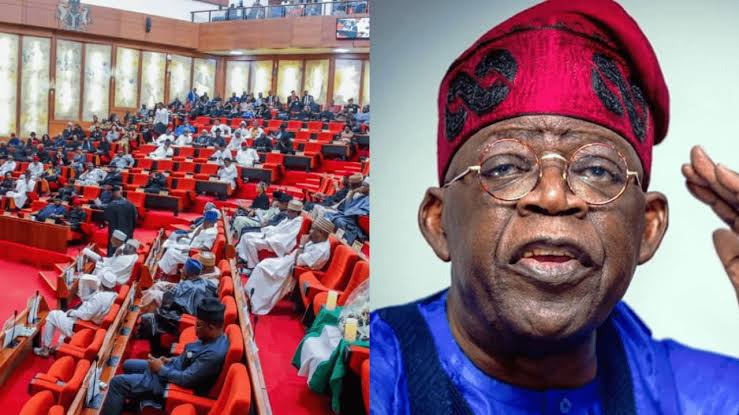 Senate Pleads with Tinubu to Grant N200M Compensation to Family of Two-Year-Old Shot Dead by NDLEA 1 Senate and Tinubu