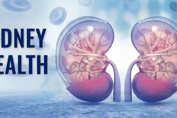651 Kidneys Illegally Harvested in Nigeria, Worth $41bn Globally 43 150975